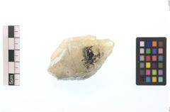 Foto von Calcit (NHMW-MIN-As365)